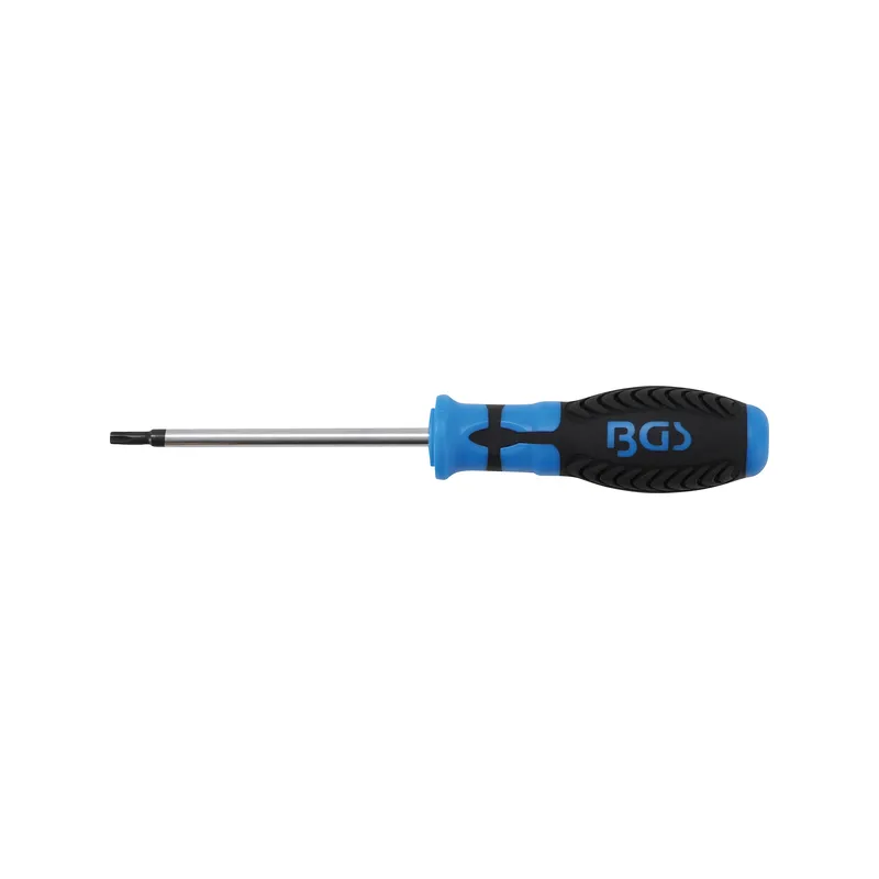 Torx csavarhúzó T25 100mm